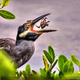 Illustration for article titled The best pictures from National Geographics Photo Contest 2014